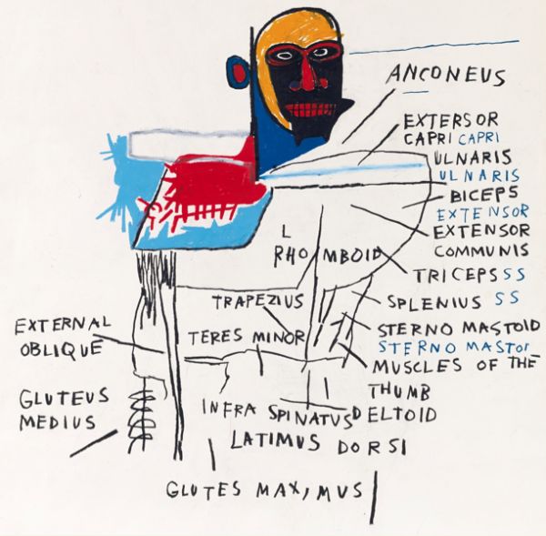 untitled-anatomy-by-jean-michel-basquiat-1982