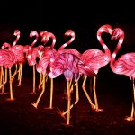Festival des Lumières au Jardin des Plantes