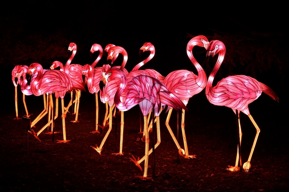 Festival des Lumières au Jardin des Plantes