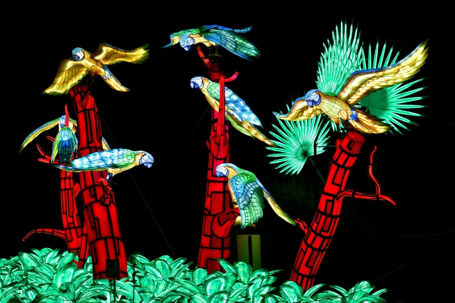 Festival des Lumières au Jardin des Plantes