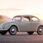 Coccinelle